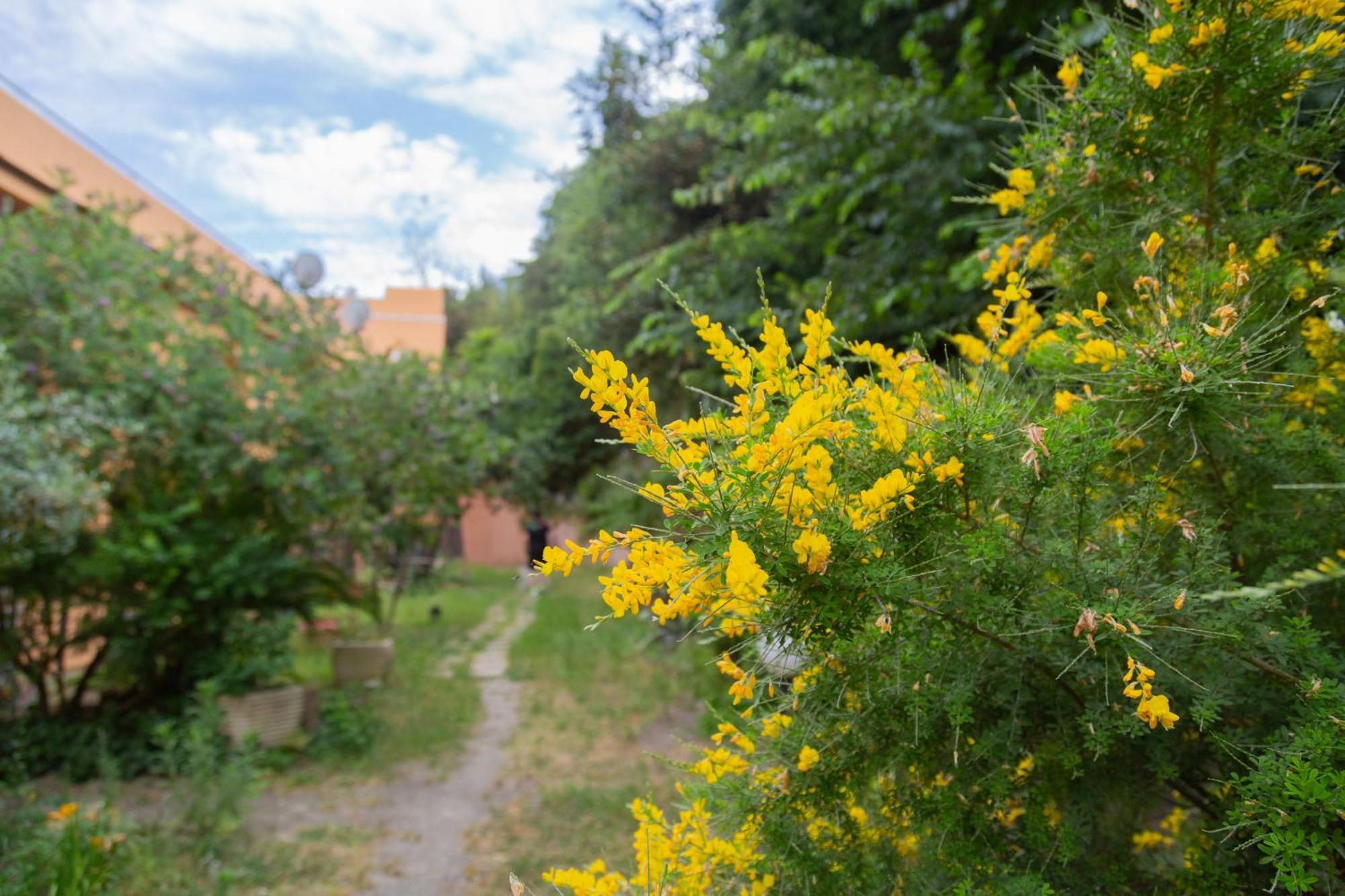 La Casa Di Nonna Peppina A Trastevere โรม ภายนอก รูปภาพ